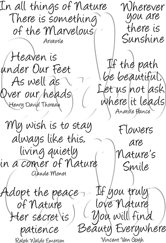 Nature Quotes A6 Clear Stamp Set