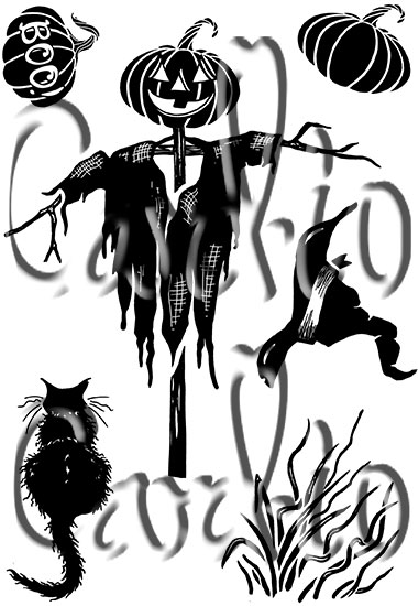 Pumpkin Patch