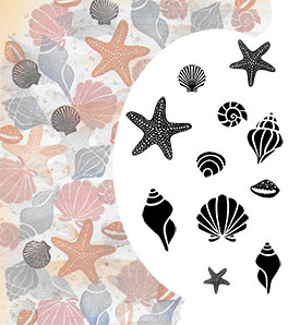 Starfish and Shells