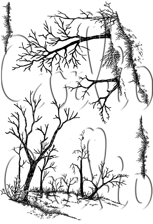 Winter Hillside